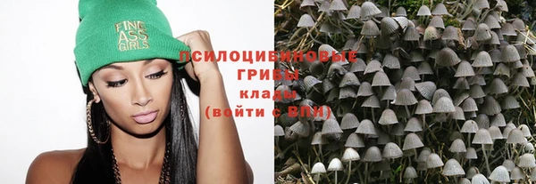прущая мука Арсеньев