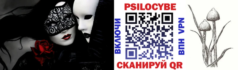 где купить наркоту  Рыбное  kraken вход  Псилоцибиновые грибы мицелий 